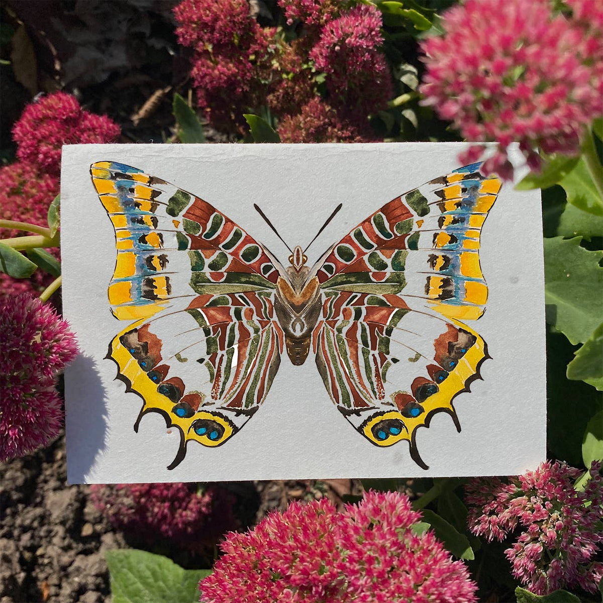 Foxy Emperor Plantable Eco Friendly Greetings Card