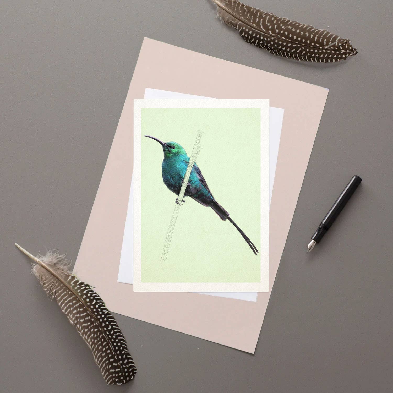 Malachite Sunbird Greetings Card