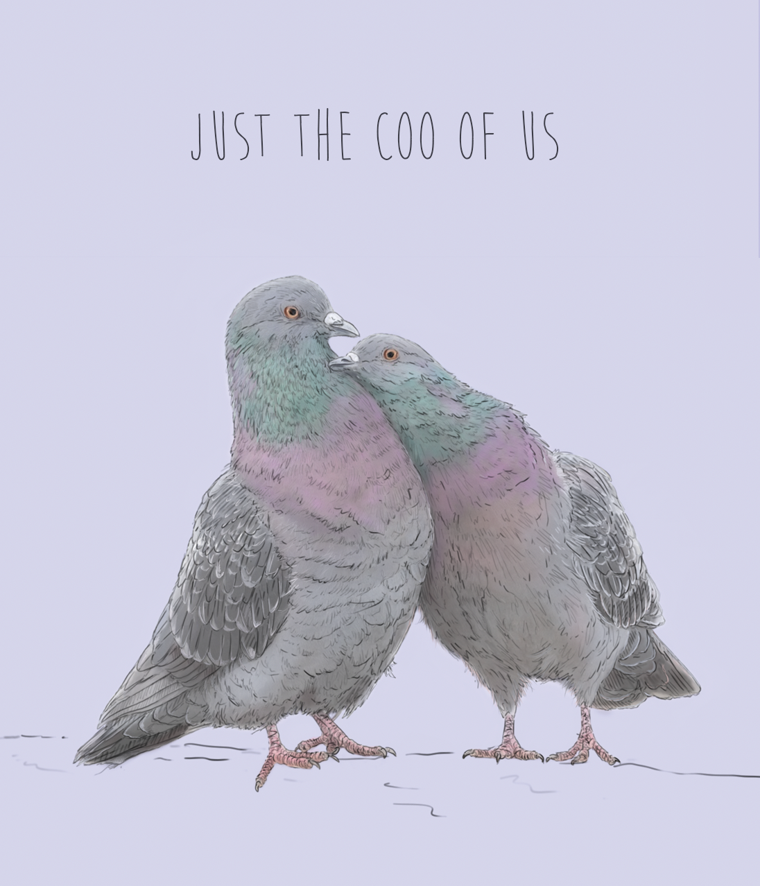 Just the Coo of us Greetings Card