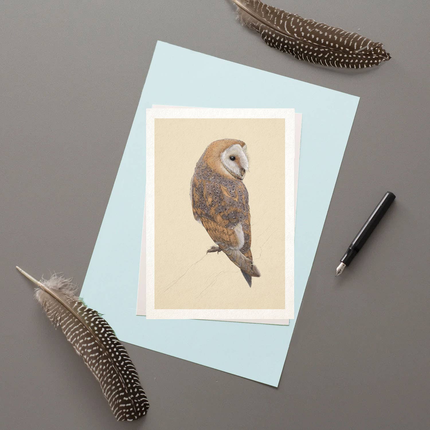 Barn Owl greeting card