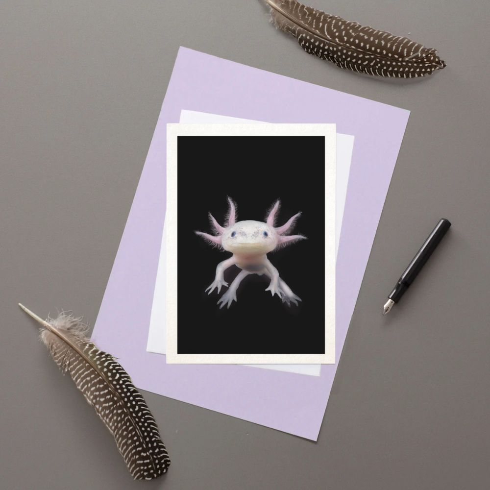 Axolotl greetings card