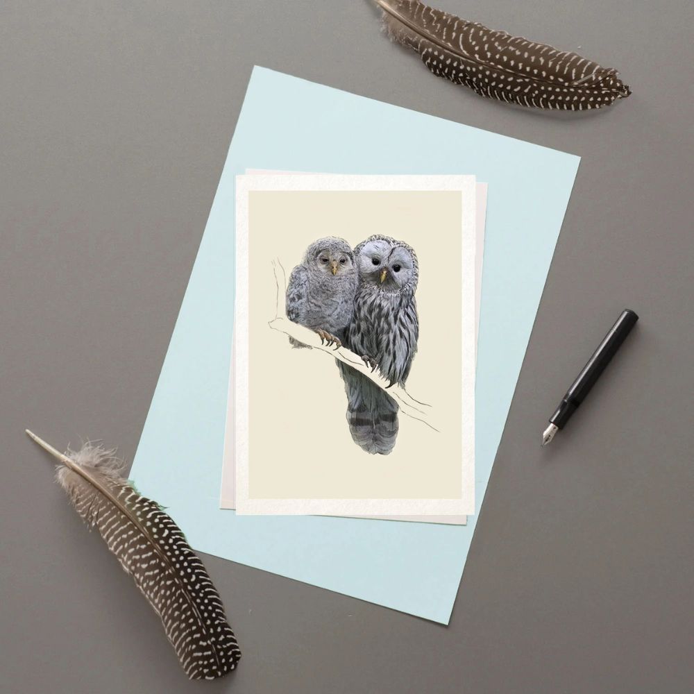 Barred Owls greetings card