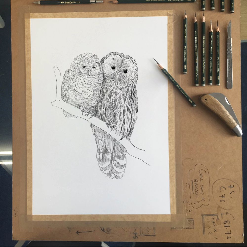 Barred Owls greetings card