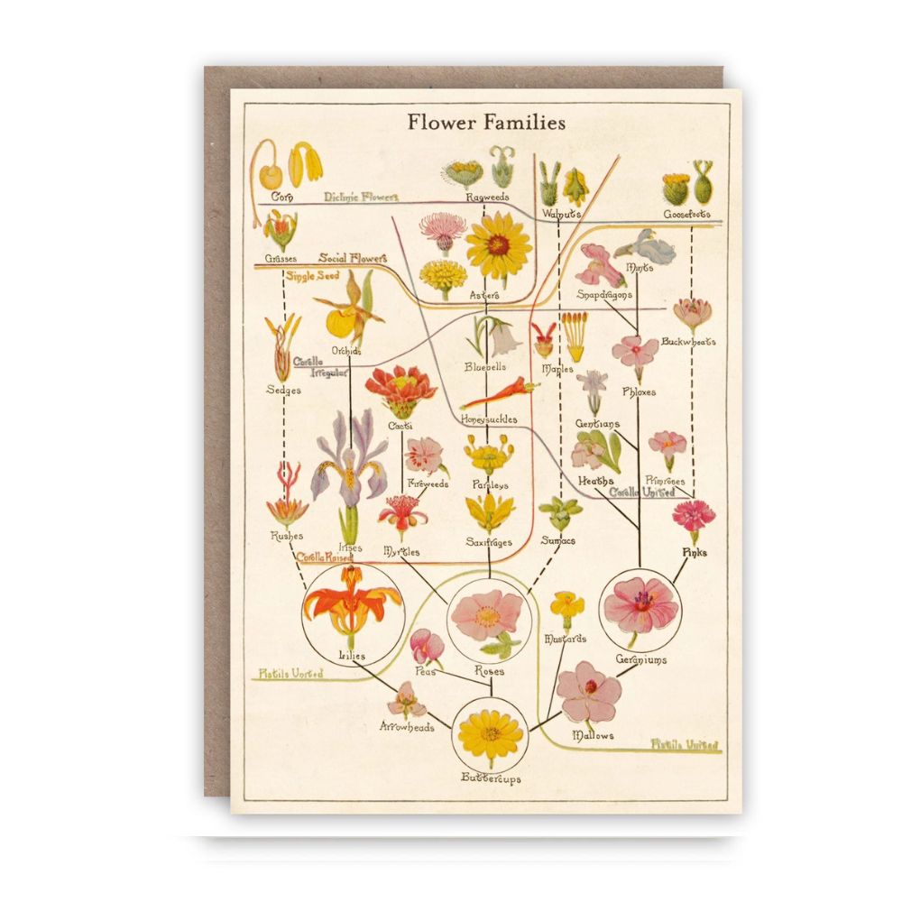 Flower Families greeting card
