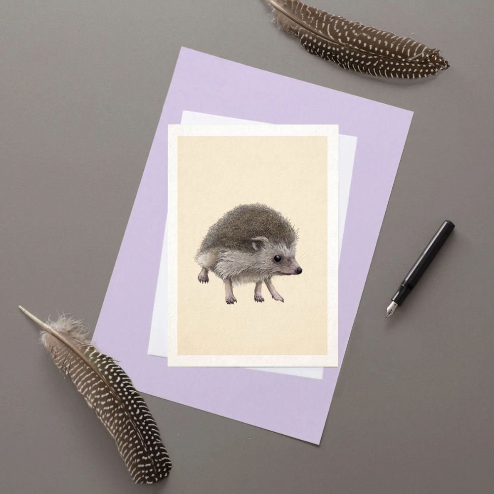 Hedgehog greeting card