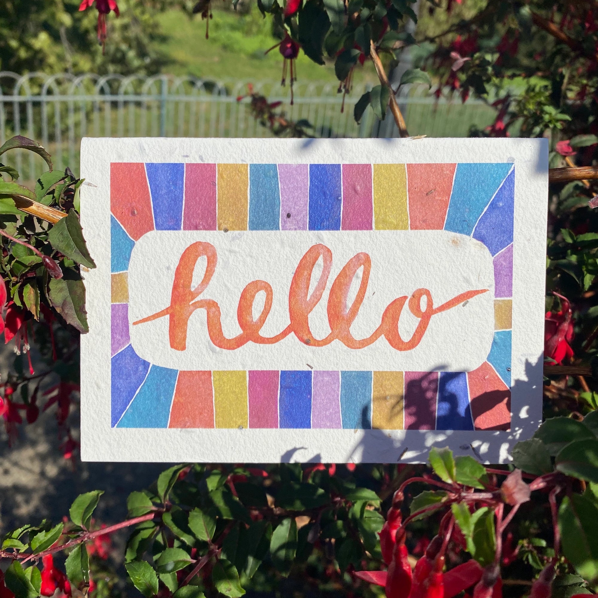 Plantable 'Hello' greeting card