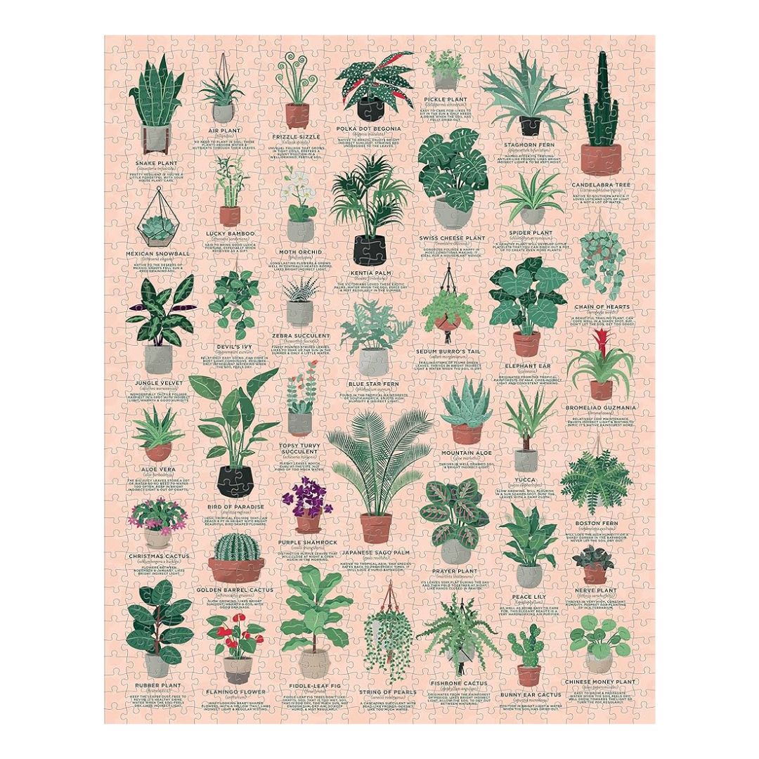 House Plants jigsaw puzzle