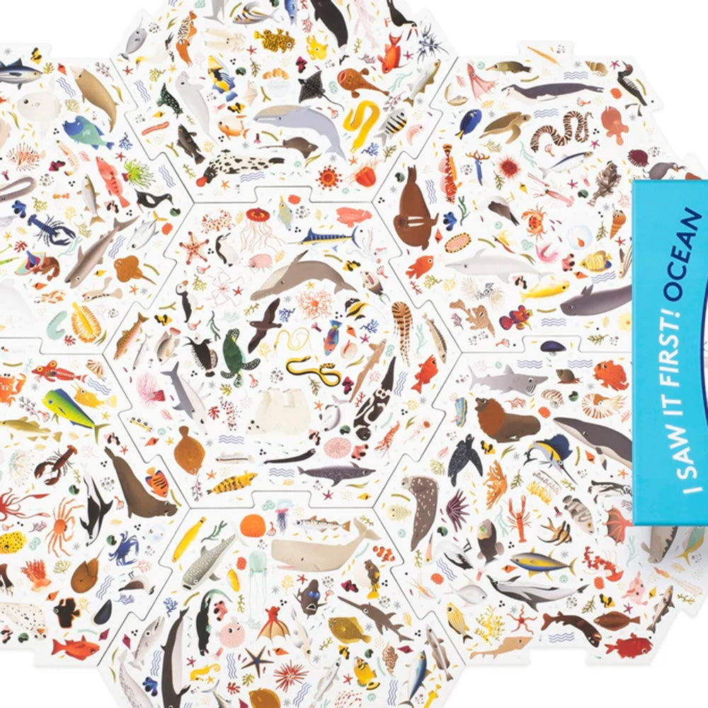 I saw it first! Ocean