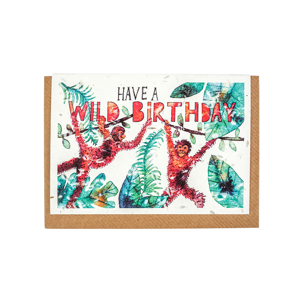 Plantable 'Have a wild birthday' greeting card