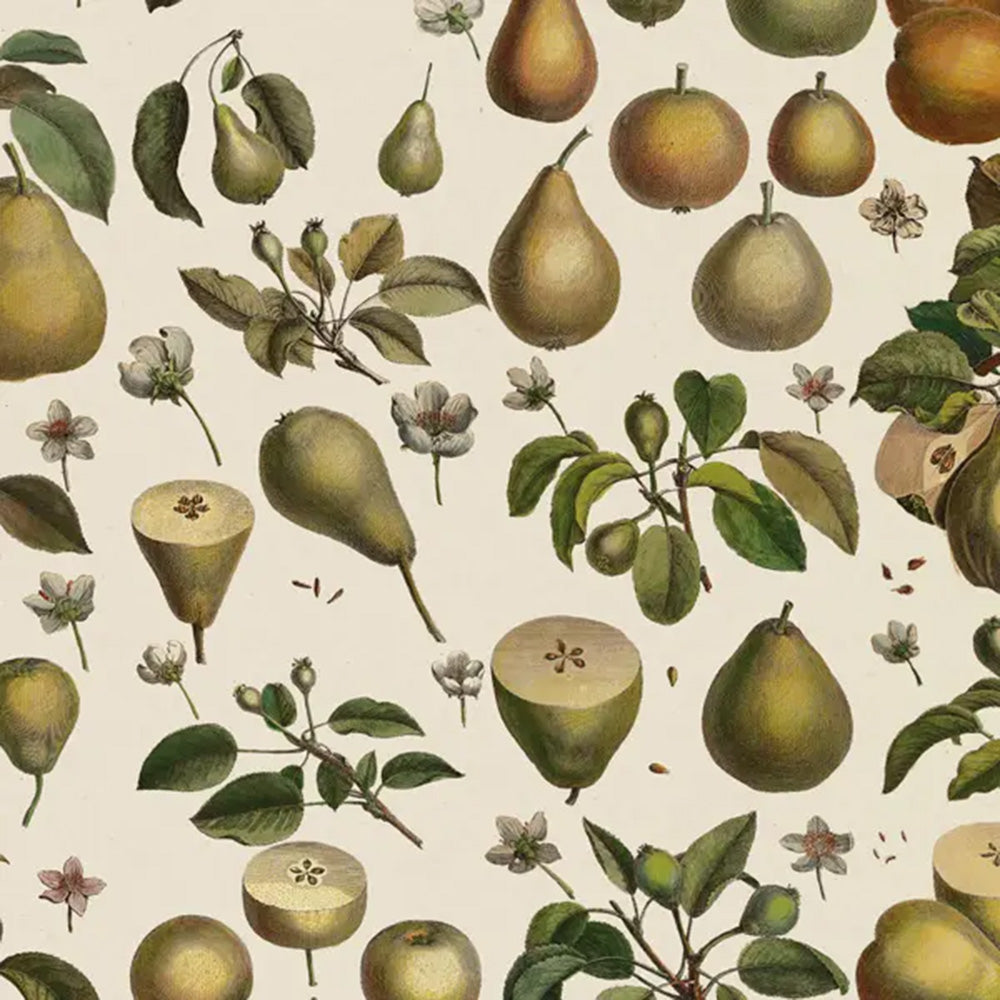 Pears wrapping paper