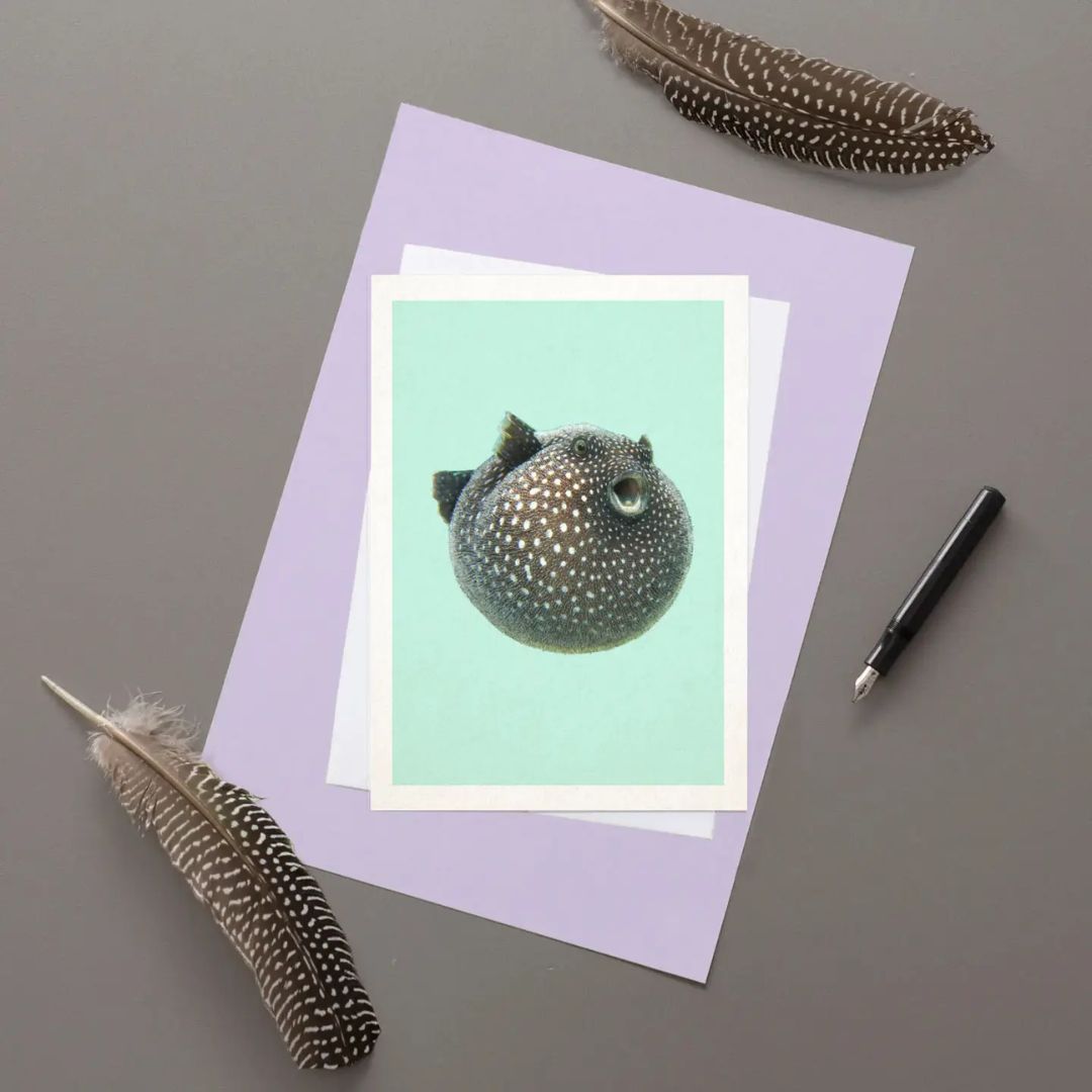 Guineafowl Pufferfish greetings card