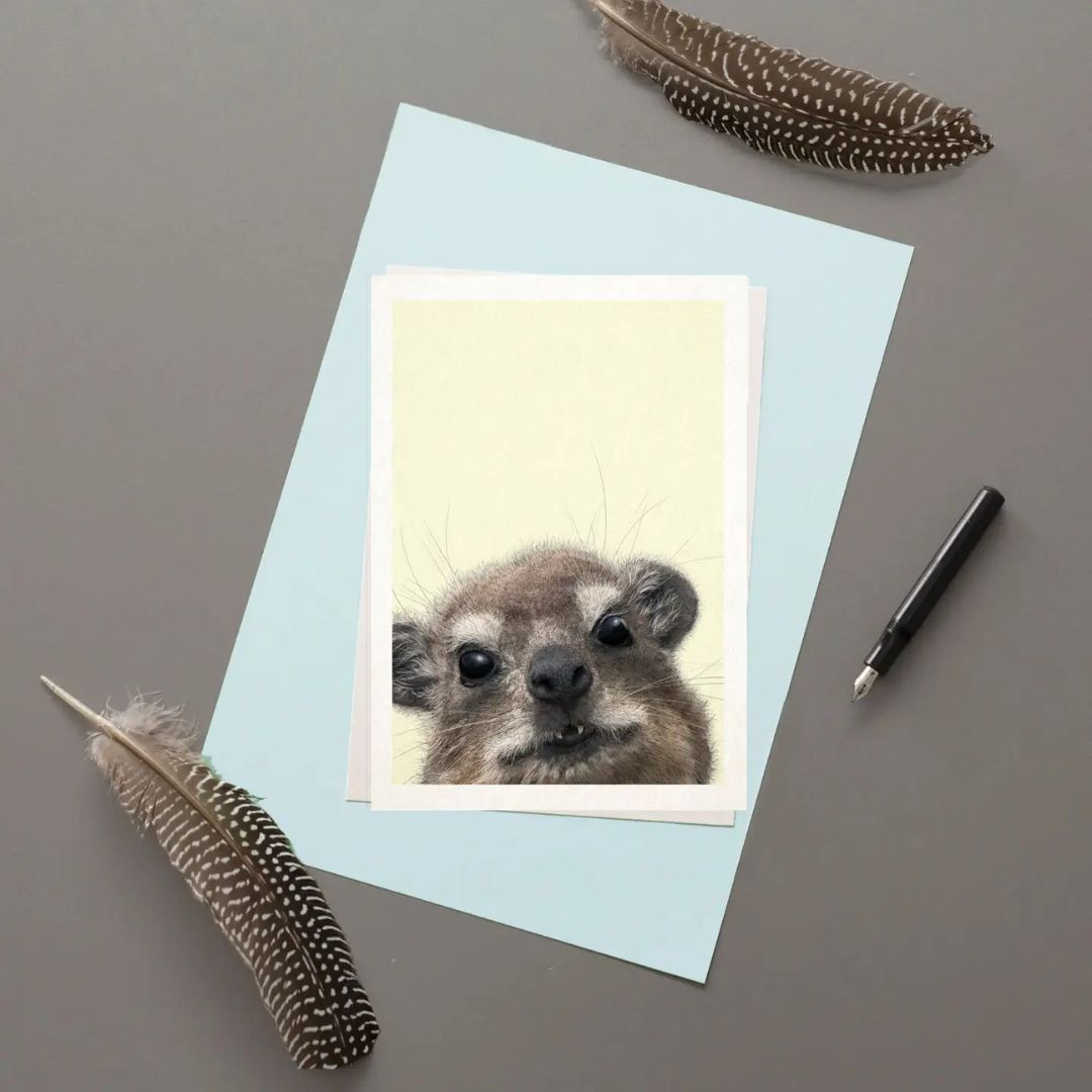 Rock Hyrax greetings card