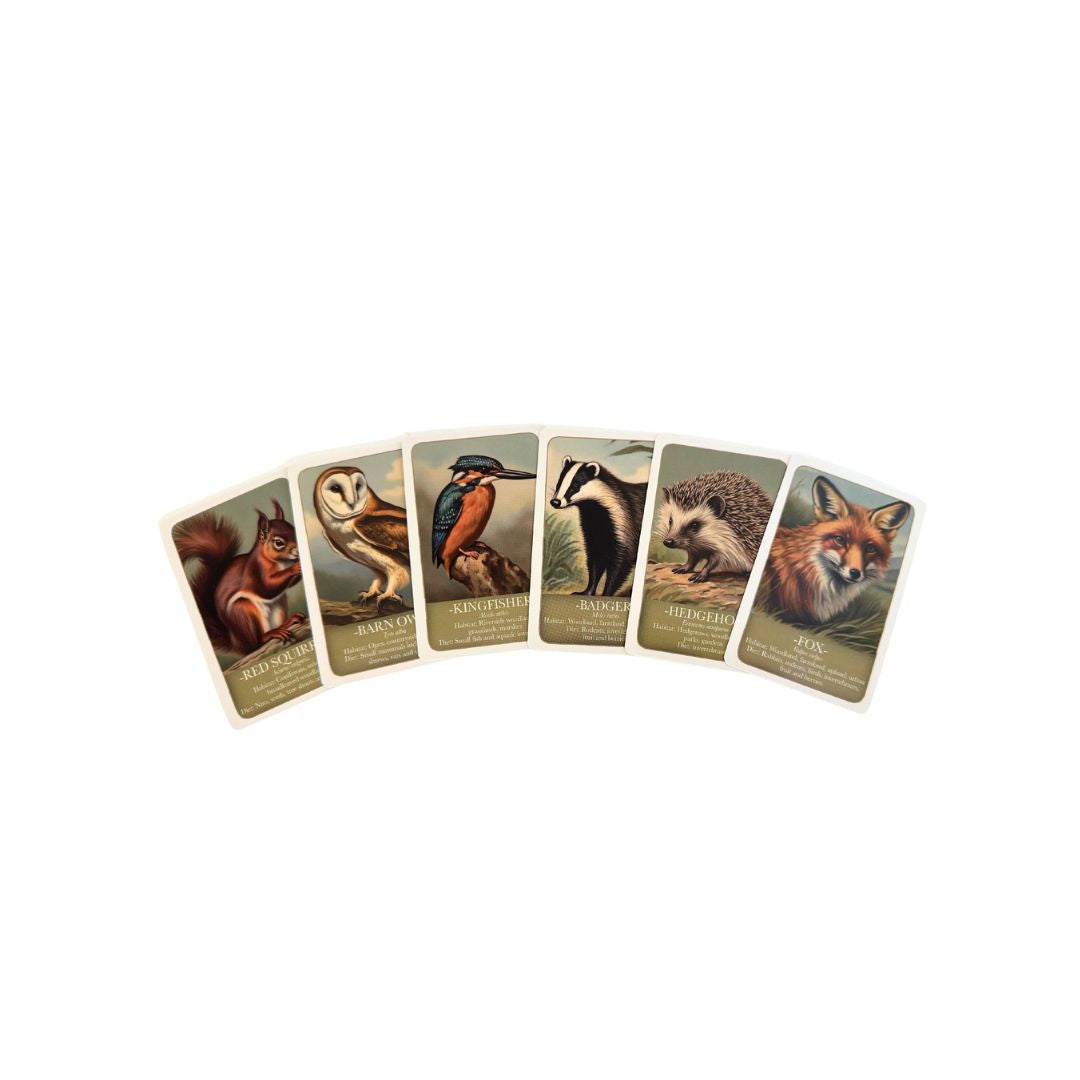 Wildlife "Pairs" card game
