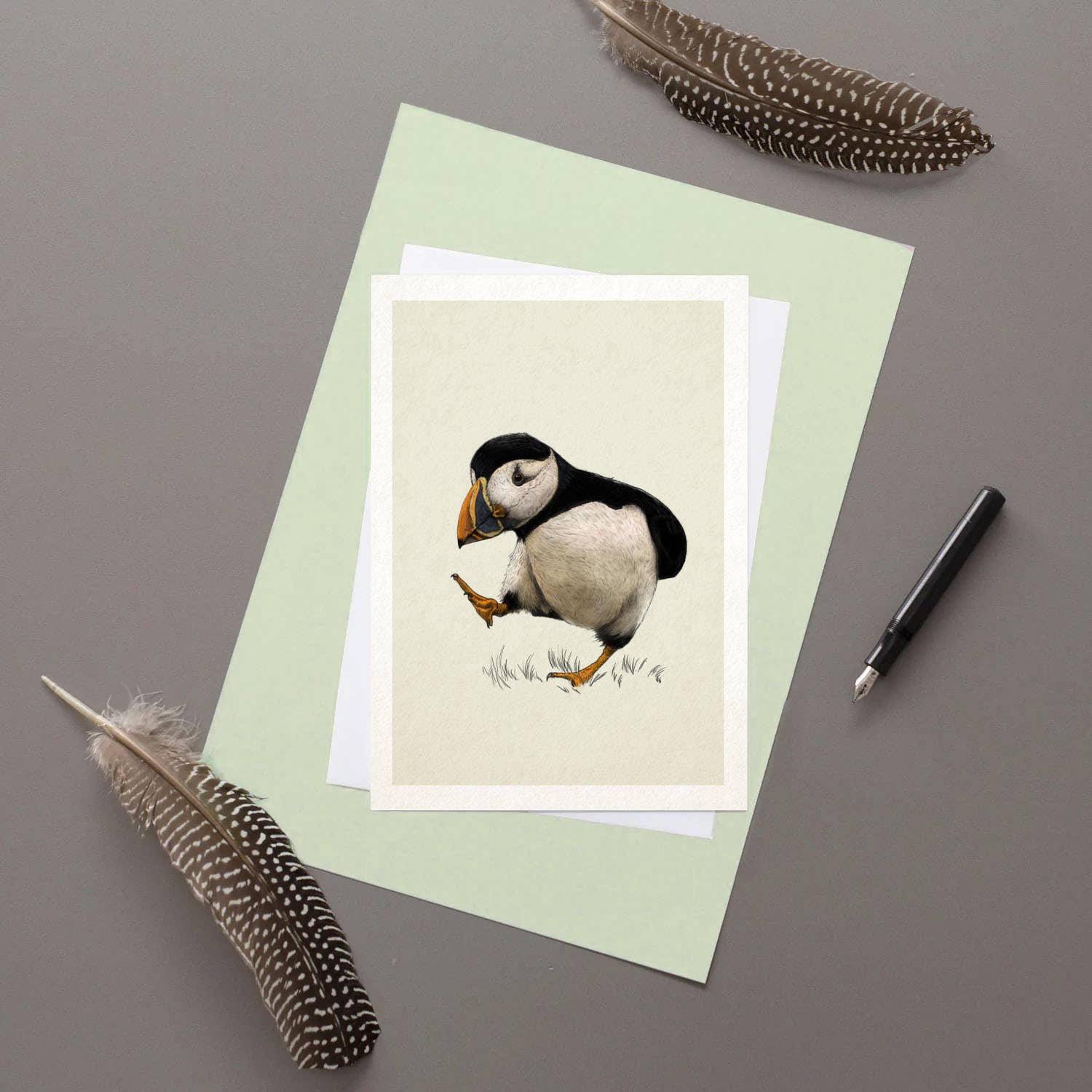 Atlantic Puffin greetings card