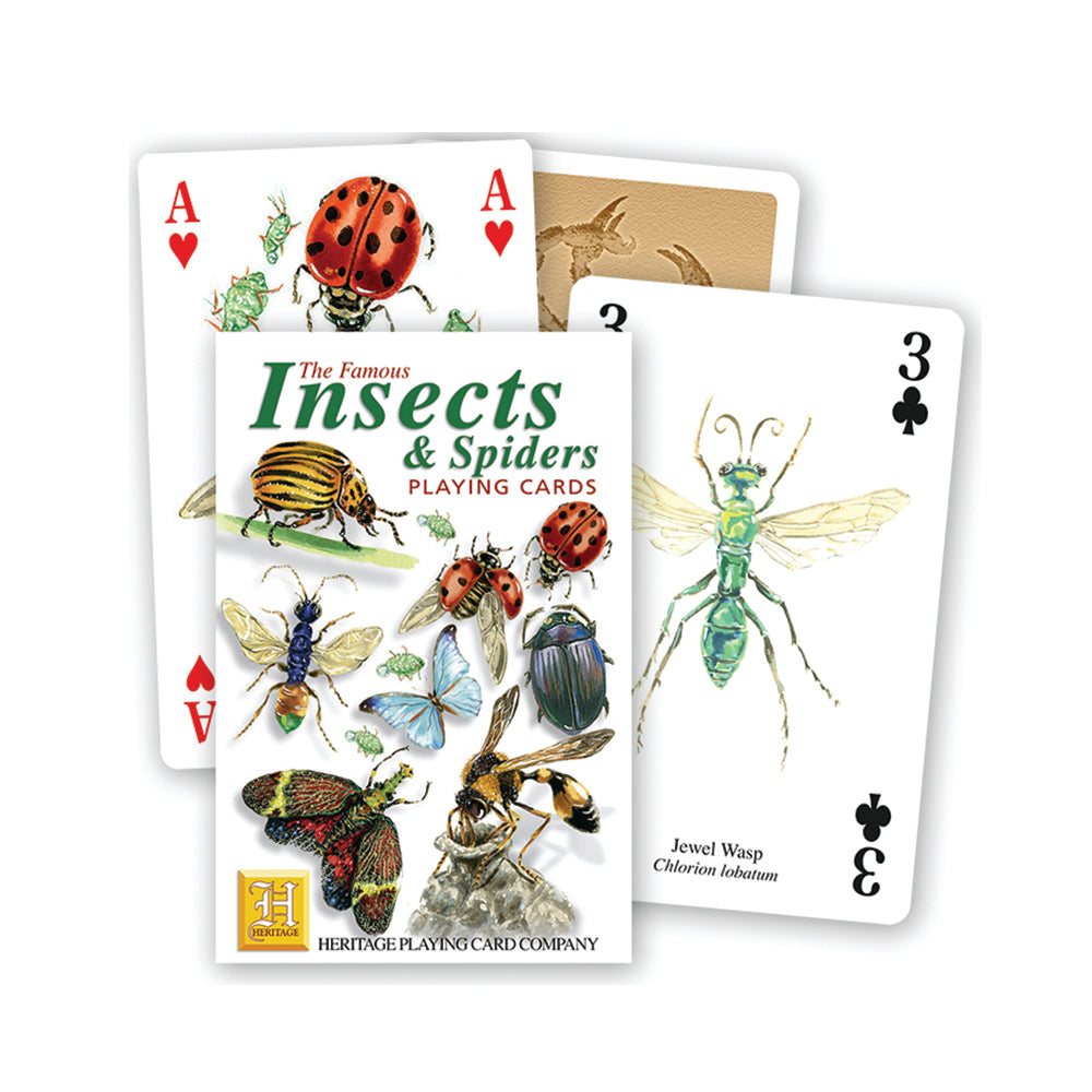 Insects and spiders playing cards