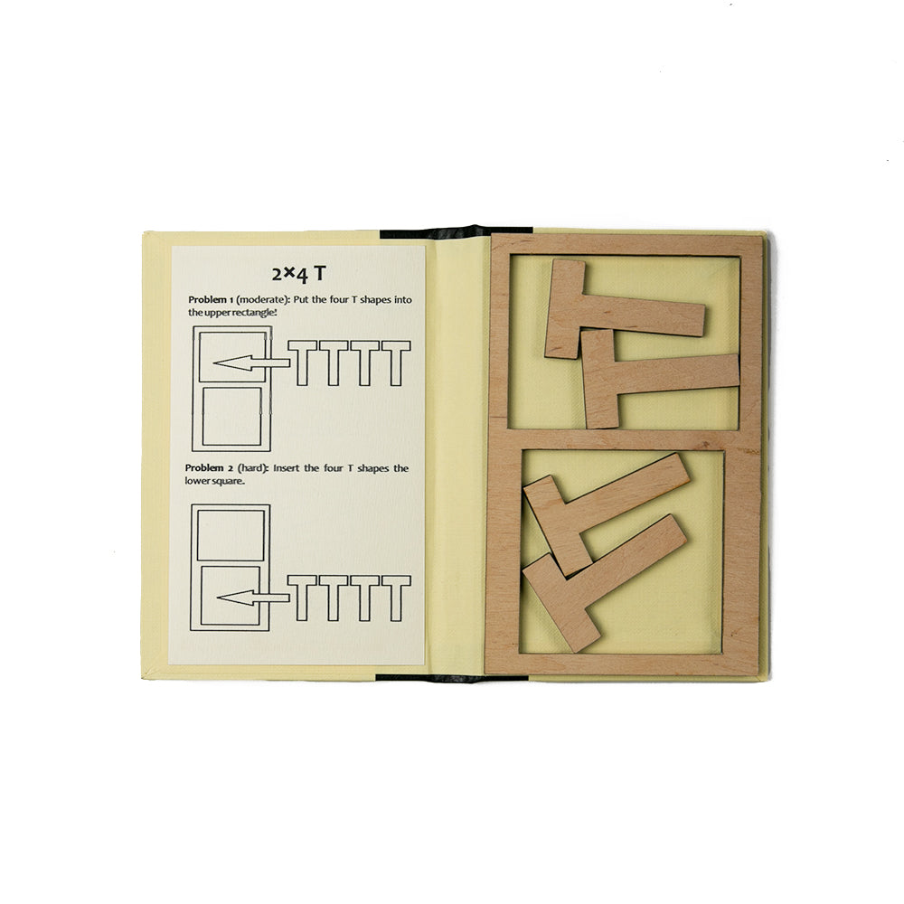 Peter Gal: 2x4 T puzzle