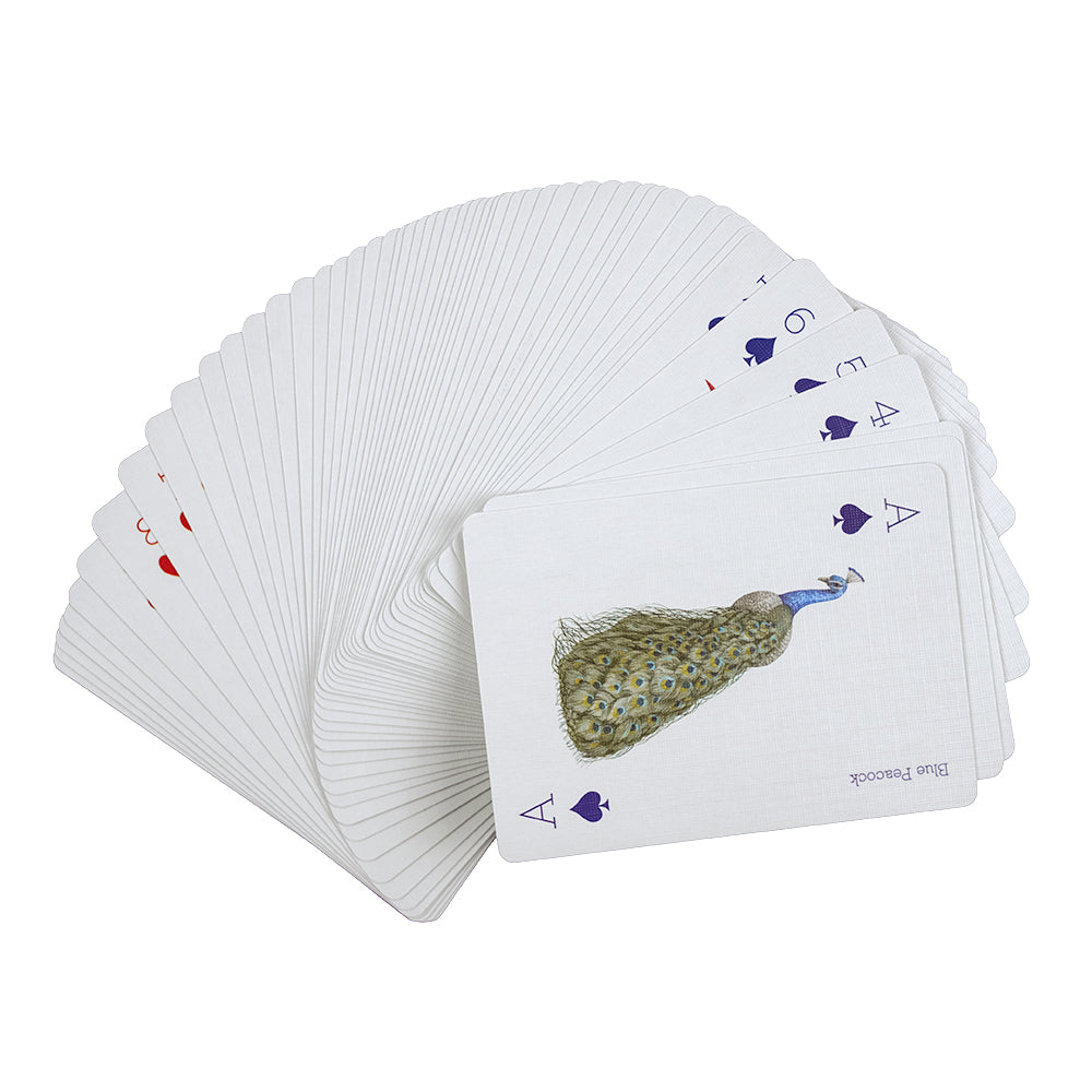 Birds playing cards