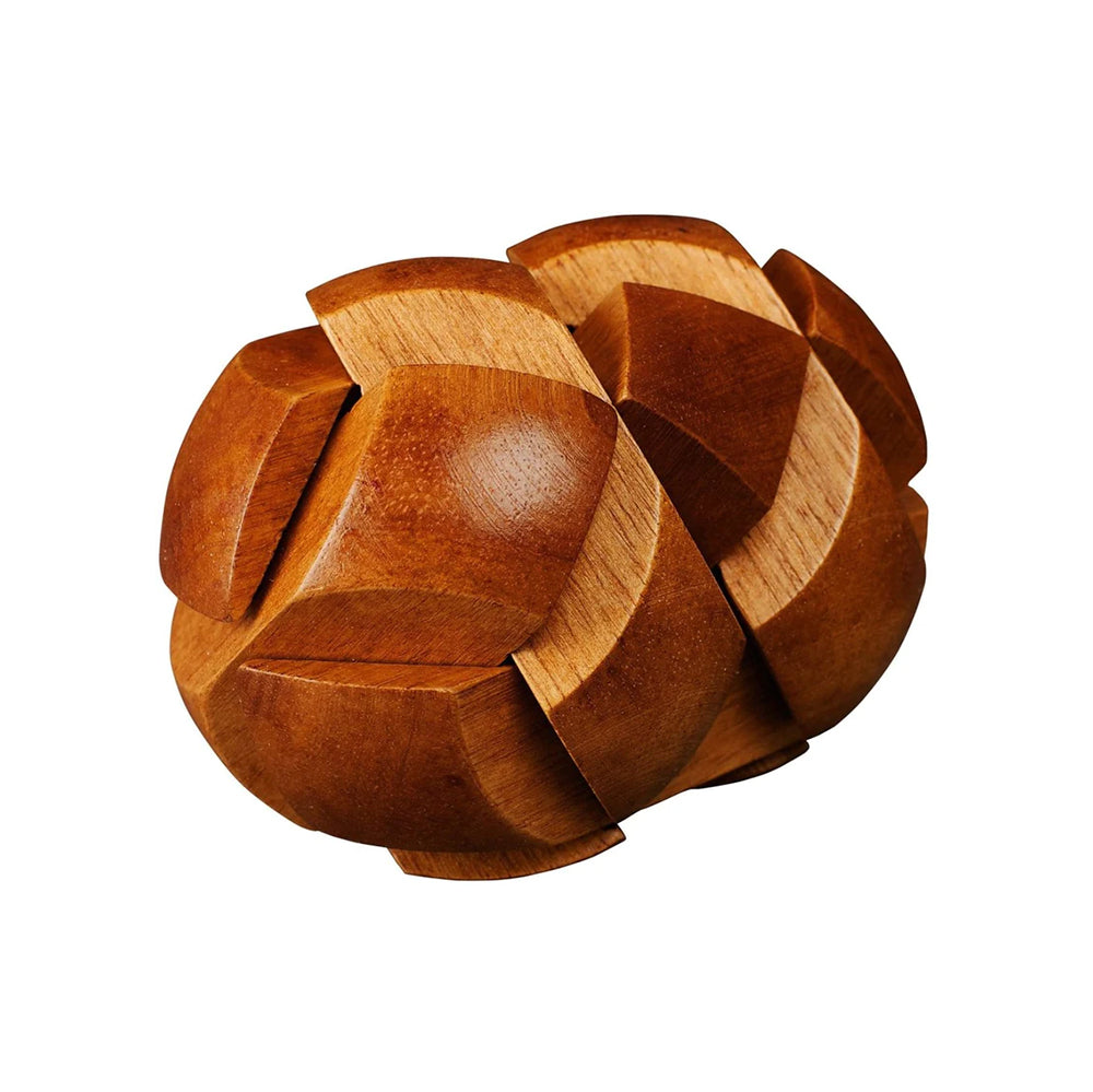 Darwin's Egg of Evolution Puzzle Great Minds Puzzle