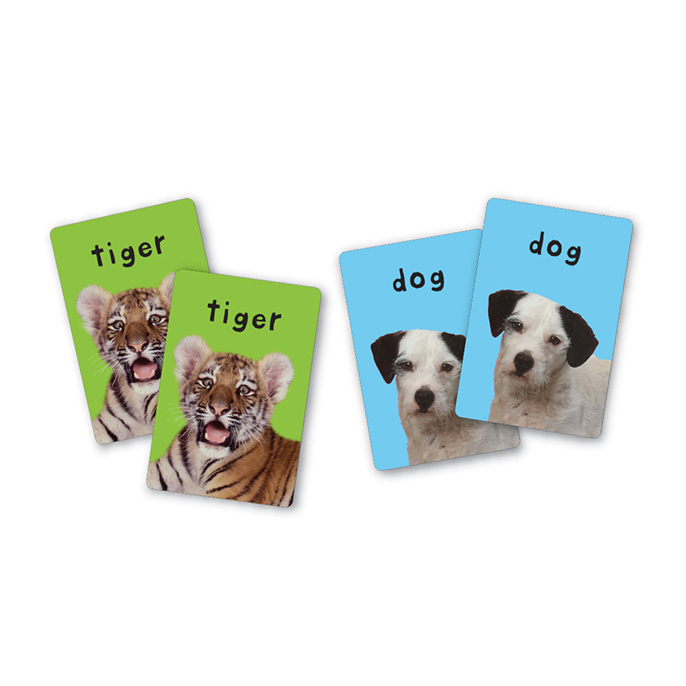 First 100 Animals Card Game