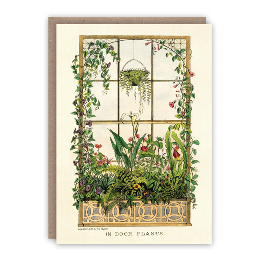 Indoor Plants greeting card