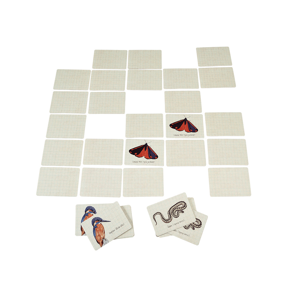 Nature Trail memory game