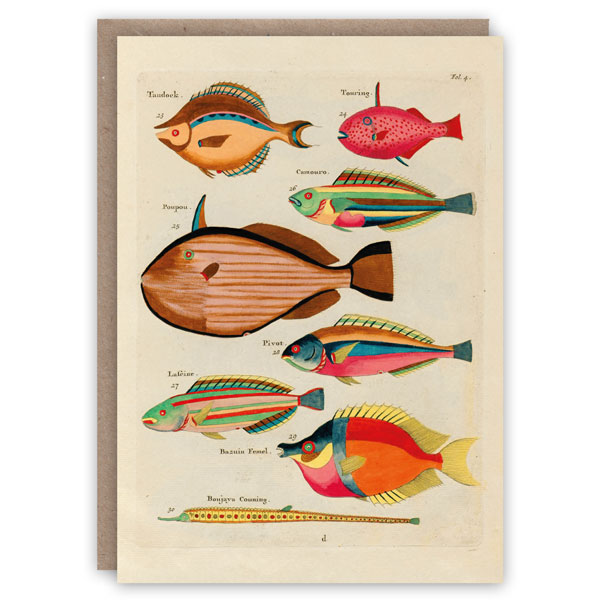 Renard fish greeting card