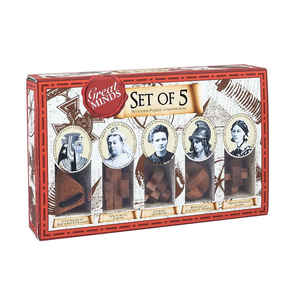 Set of 5 Great Minds Puzzles