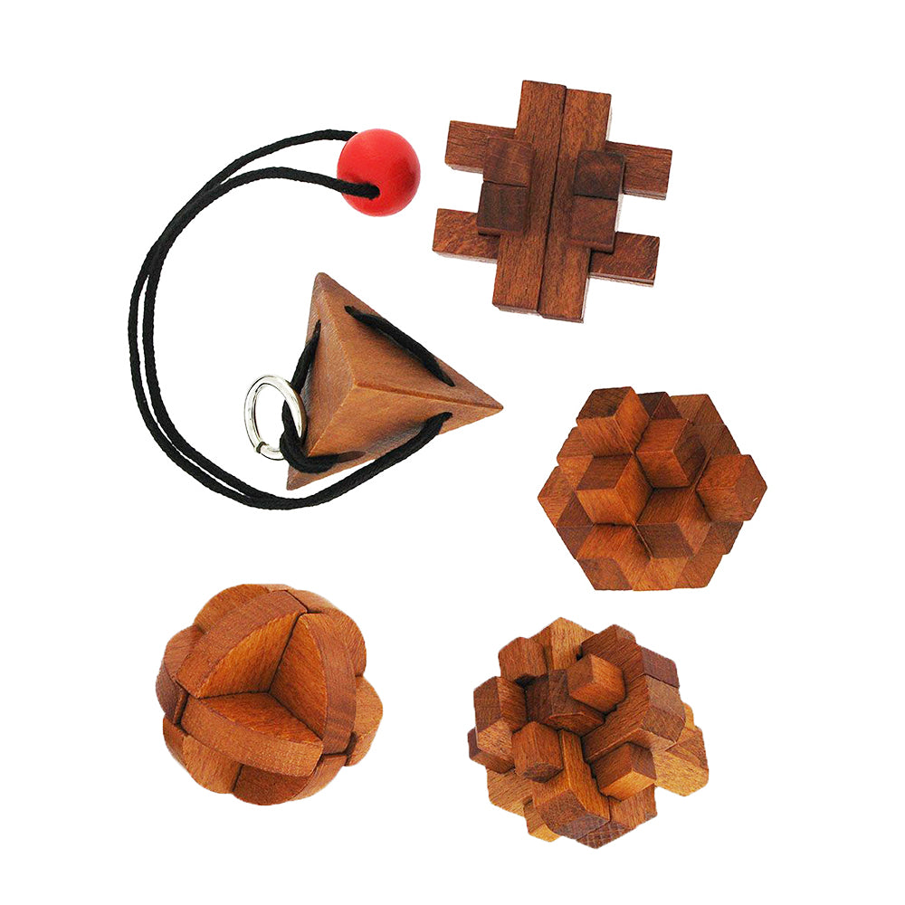 Set of 5 Great Minds Puzzles